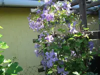 020.webp