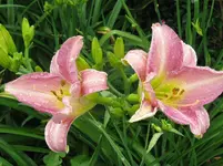 IMG_catherin woodberry_1067x800.webp