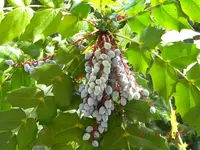DSCN0438.webp