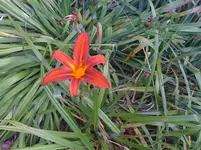 IMG_1699.webp