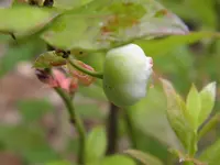 P7020241.webp