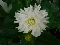 DSCI1477.webp