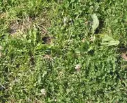 bild_58.webp