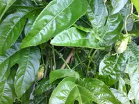 DSC02730.webp