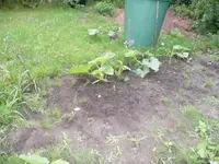 P1040029.webp
