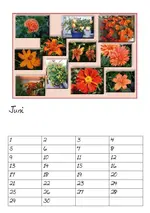 Geburtstagskalender Juni 2012.webp