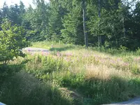 DSCF5660.webp