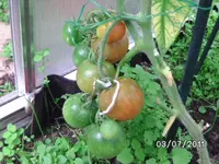 BILD0019.webp