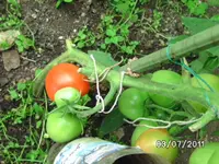 BILD0021.webp