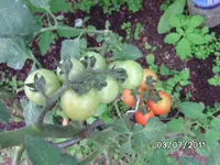 BILD0025.webp