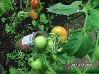 BILD0030.webp