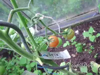 BILD0033.webp