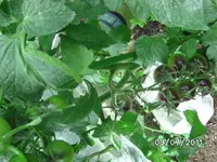 BILD0034.webp