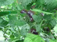 BILD0035.webp