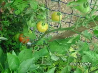 BILD0036.webp