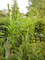 DSC01038.webp