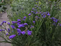 P7020260.webp
