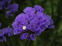 P7020259.webp
