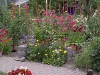 P7020266.webp