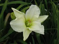 IMG_weiß_1067x800.webp