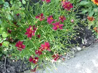 P1010039.webp