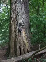 DSCF1526.webp