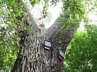 DSCF1542.webp