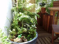 balkon 019.webp
