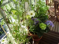 balkon 028.webp