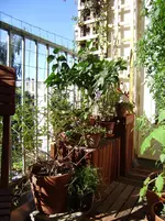 balkon 035.webp