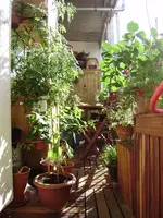 balkon 040.webp