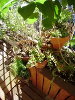 balkon 047.webp