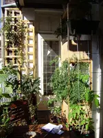 balkon 052.webp