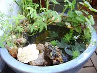 balkon 088.webp