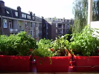 balkon 070.webp