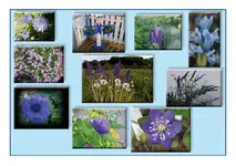 quer-blau.webp
