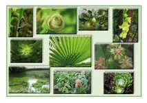 quer-grün.webp