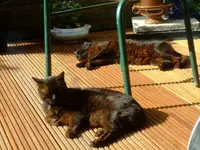 k-DSCF0069.webp