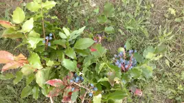 03072011112.webp