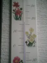 PIC00079.webp