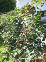 100_3778.webp