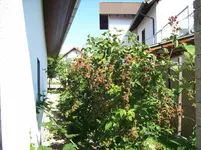 100_3805.webp