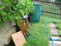 IMG_0337.webp IMG_0337.webp