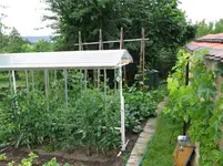 IMG_0340.webp IMG_0340.webp