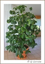 IMG_8617-04072011 (1 von 1).webp