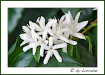 IMG_8614-04072011 (1 von 1).webp