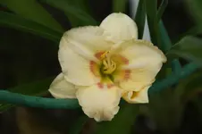 DSC05607.webp