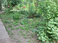 Beet_vorne_Vorher.webp