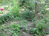 Beet_vorne_Vorher (2).webp