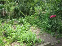 Beet_vorne_Vorher (3).webp
